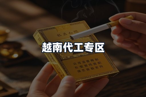 越南代工专区